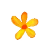 🌟