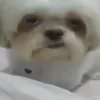 😐