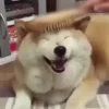 😊
