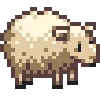 🐑