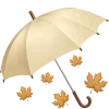 🍂