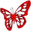 🦋
