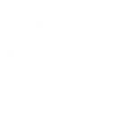 🎩