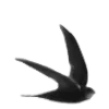 🌫️