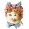 🐱