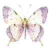 🦋