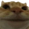 🙂
