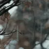 🌫️