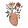 🫀
