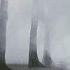 🌫️