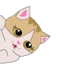 🐱