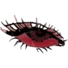 👁️
