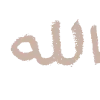 🤎