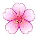 🌸