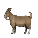 🐐