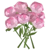 🌺