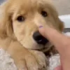 🥰