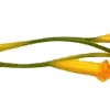 🌼