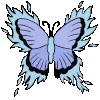 🦋