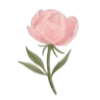 🌹