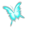 🦋