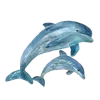 🐬