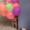 🎈