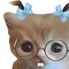 🤓