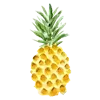 🍍