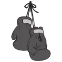 🥊
