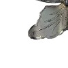 🌫️