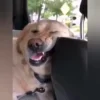 😄