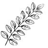 🌿