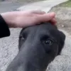 😐