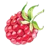 🍓