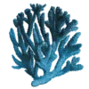 🪸