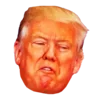 🇺🇸