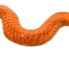 🐍