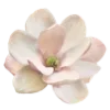 🌸