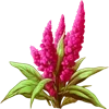 🌱