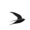 🌫️