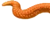 🐍