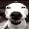 😁
