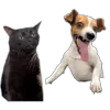 😄