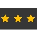 🌟