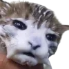 😶‍🌫️