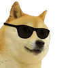 😎