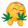 😘