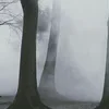 🌫️