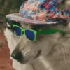🕶